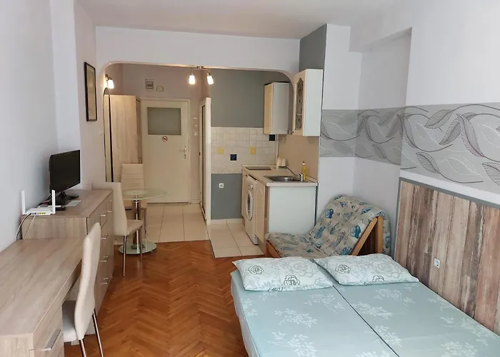 罗西察一室公寓