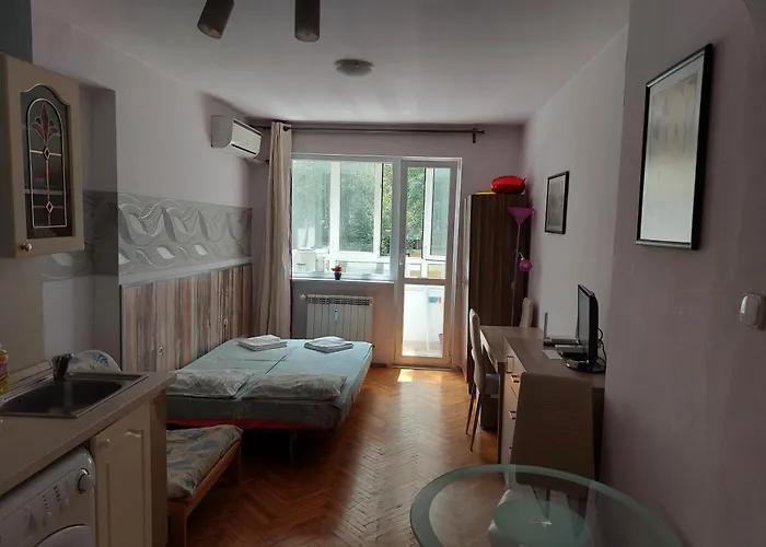 罗西察一室公寓 *